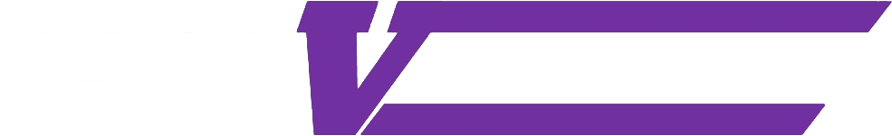 ELV Services LLC